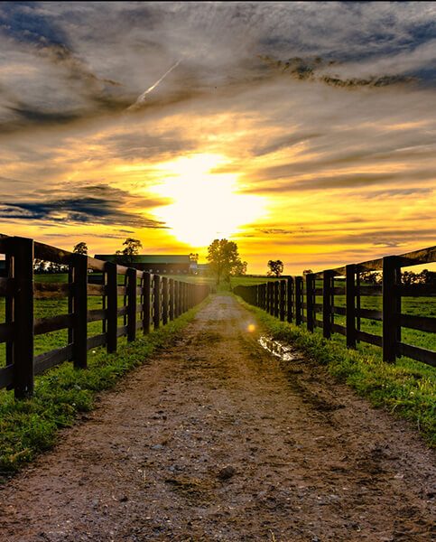 Dirt road leading to a barn with sunset